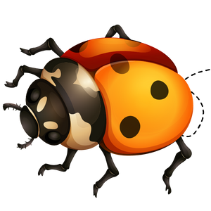 Ladybug Hair Products Logo